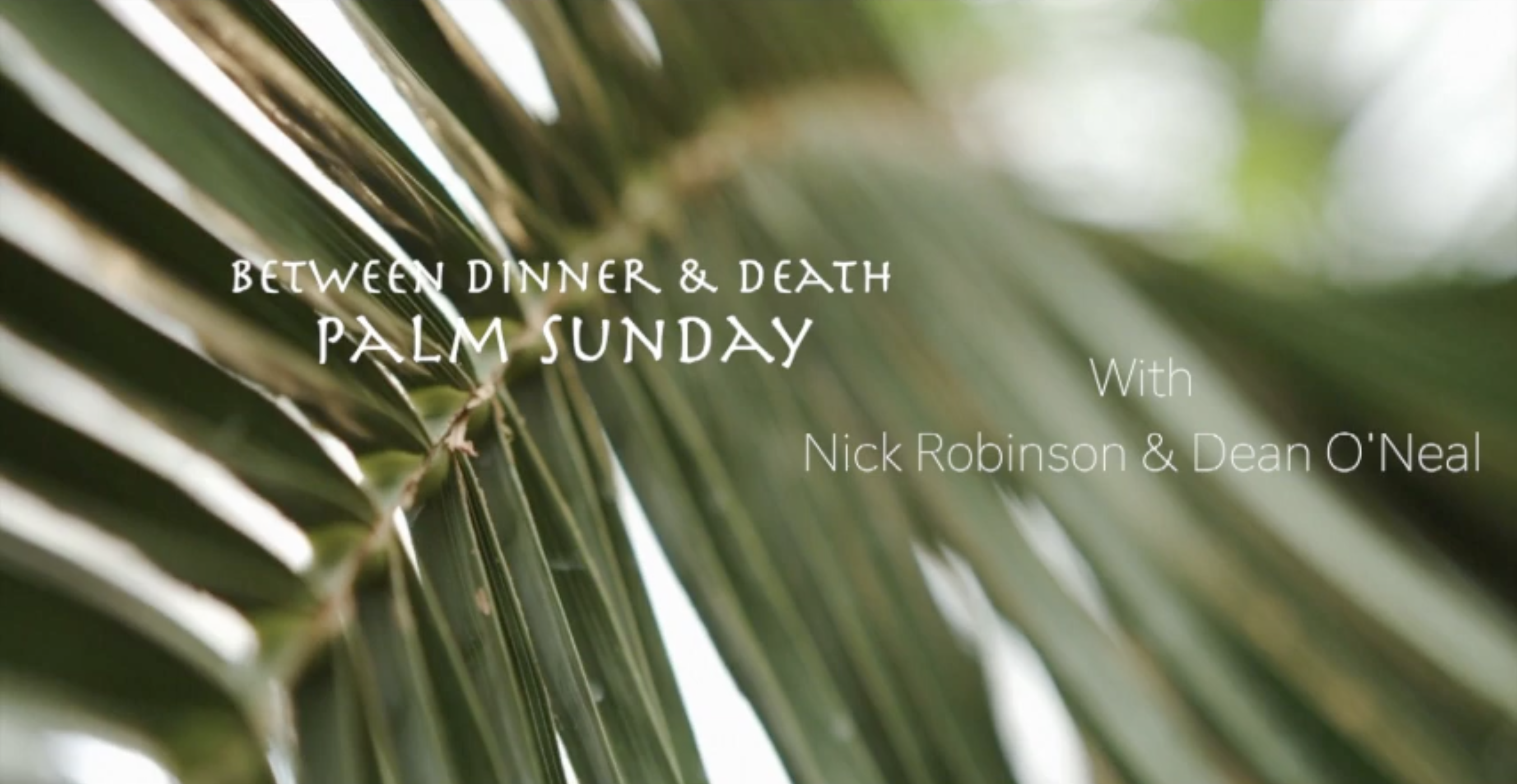 Sermon Preview: "Palm Sunday Shattered"